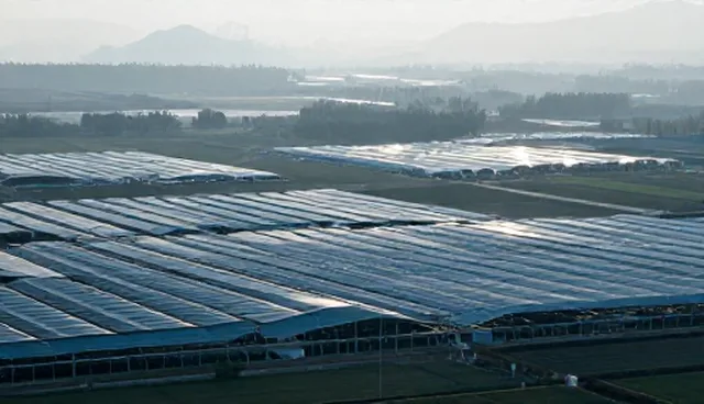 技术实施中的选型误区与性能优化策略